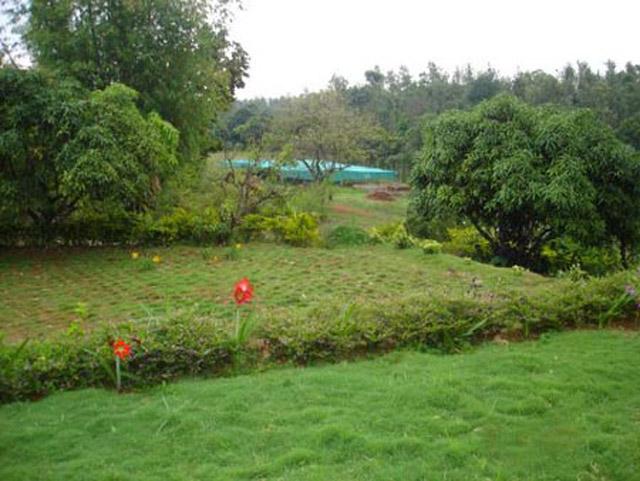Prakritik Estate Homestay photo 11