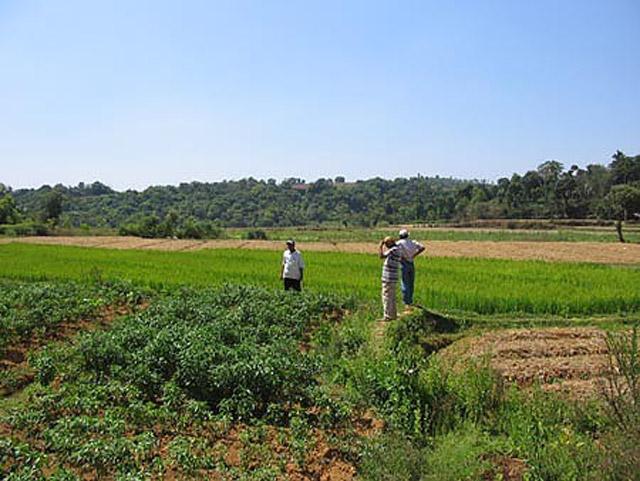 Prakritik Estate Homestay photo 18