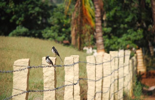 Nyrit Villa Homestay photo 15
