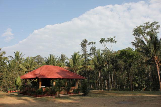 Nyrit Villa Homestay photo 19