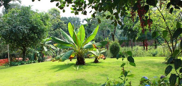 Vythiri Village Resort photo 12
