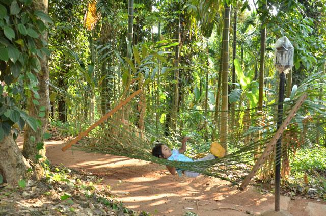 Bananki Homestay photo 86