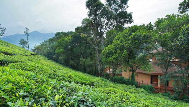 Vythiri Village Resort photo 23
