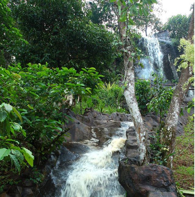 Vythiri Village Resort photo 31