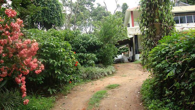 Coorg Dreams Homestay photo 8