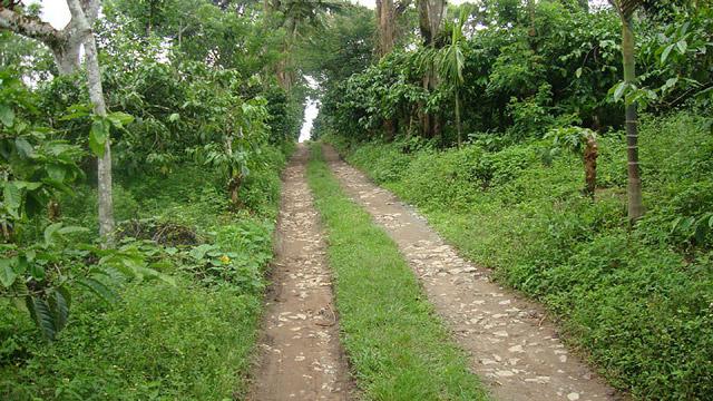 Coorg Dreams Homestay photo 23
