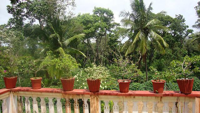 Coorg Dreams Homestay photo 24