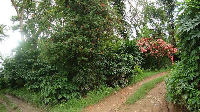 Coorg Dreams Homestay photo 25