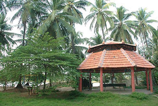 Soans Island Homestay photo 7