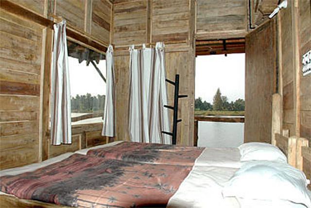 Soans Island Homestay photo 22
