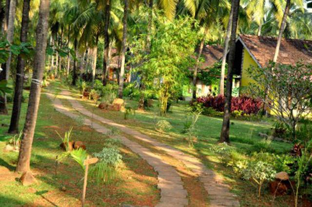 Summer Sands Beach Resort photo 7