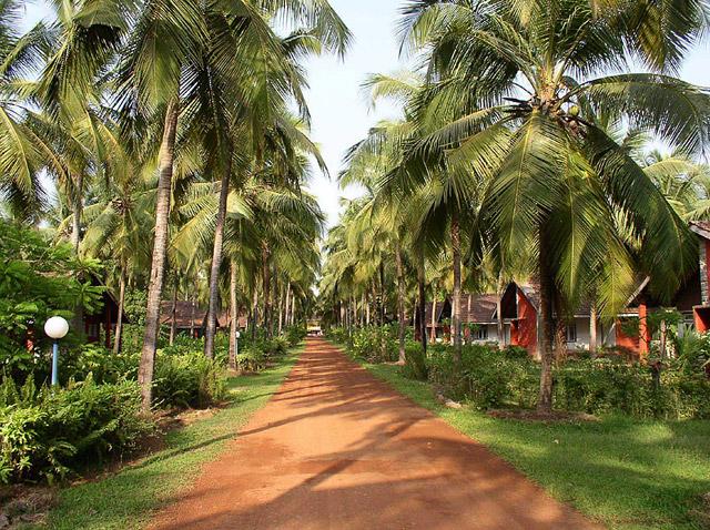 Summer Sands Beach Resort photo 17