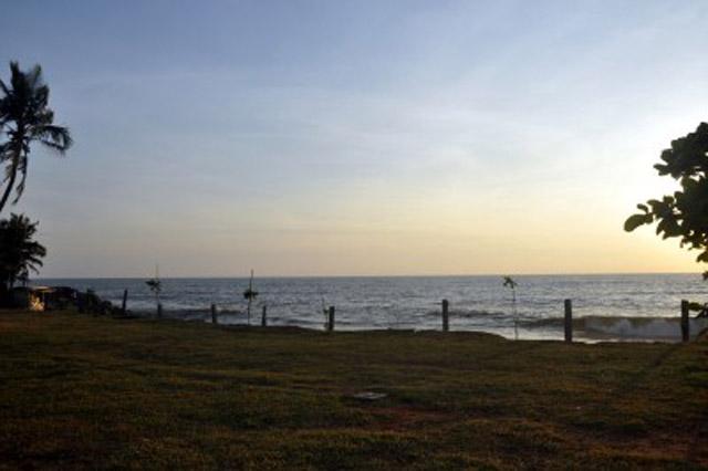 Summer Sands Beach Resort photo 20
