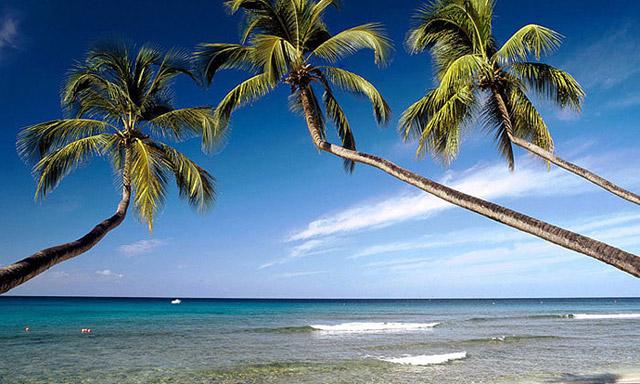 Paradise Isle Beach Resort photo 34
