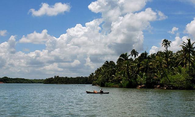 Paradise Isle Beach Resort photo 60