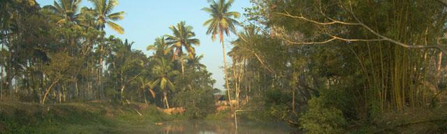 Bison Manor Homestay photo 8