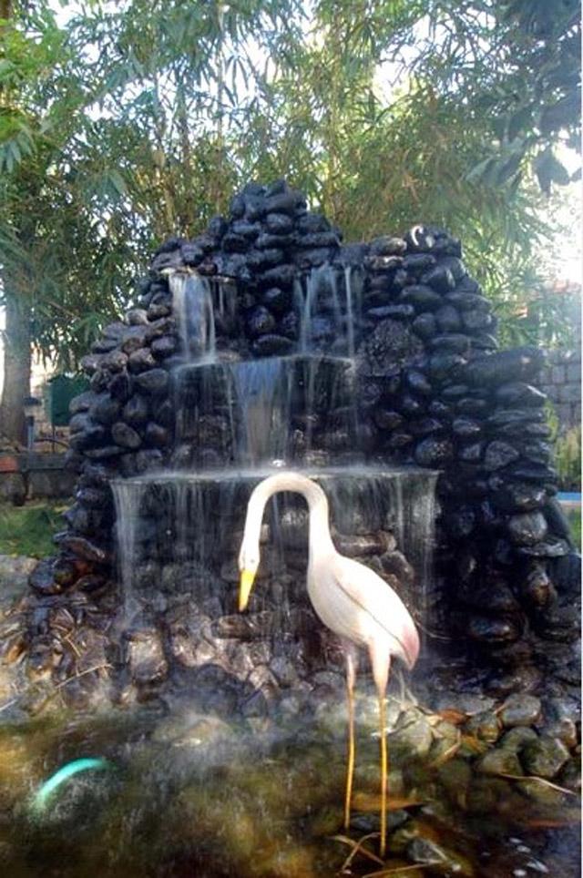 Pandith Resort and Spa photo 7