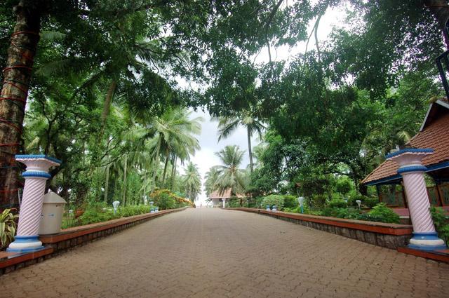Pandith Resort and Spa photo 9