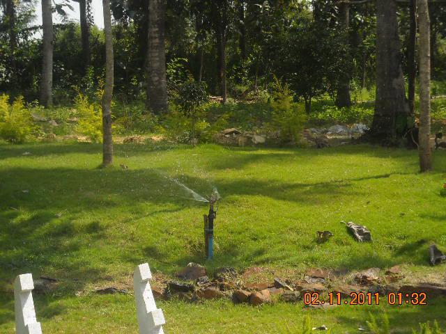 Waterfront Homestay photo 13