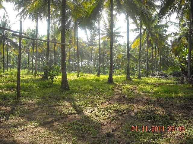 Waterfront Homestay photo 14