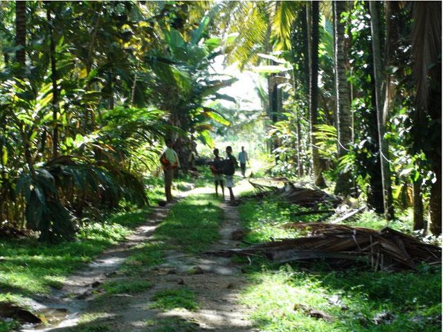 Waterfront Homestay photo 22