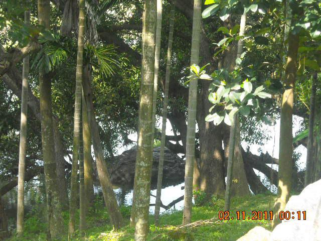 Waterfront Homestay photo 23