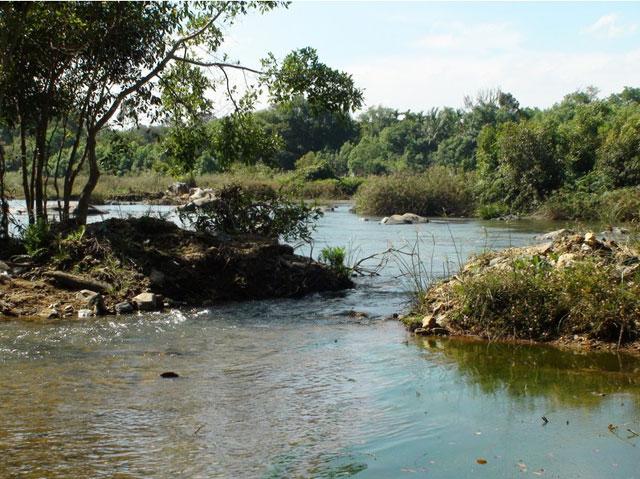 Waterfront Homestay photo 25