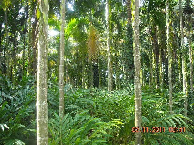 Waterfront Homestay photo 26