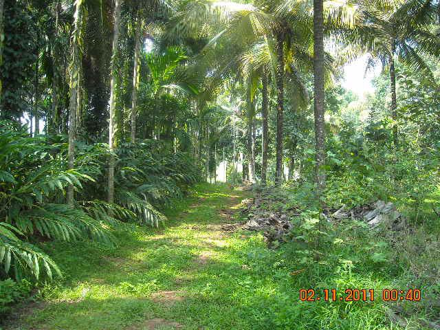 Waterfront Homestay photo 28