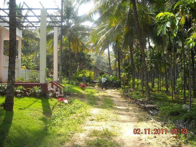 Waterfront Homestay photo 29