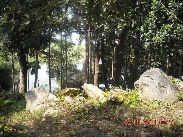 Waterfront Homestay photo 33