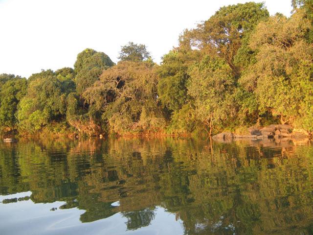 Waterfront Homestay photo 37