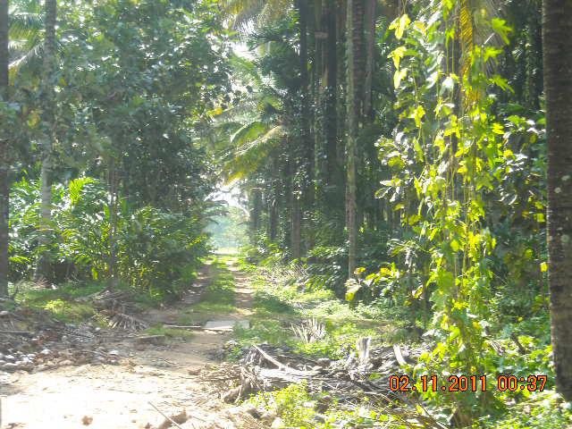 Waterfront Homestay photo 38