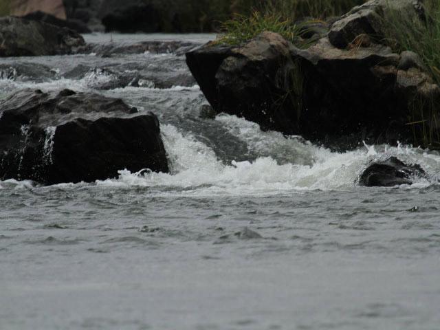 Waterfront Homestay photo 39