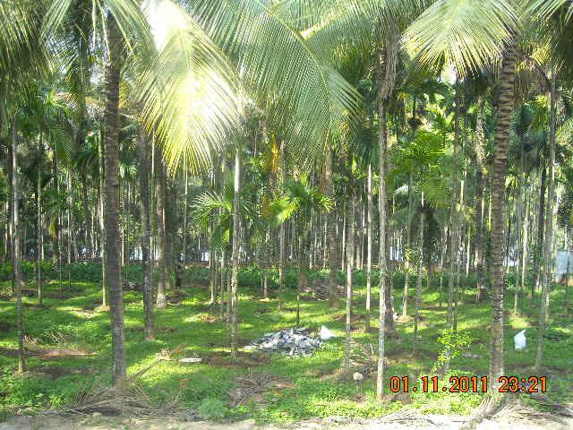 Waterfront Homestay photo 44