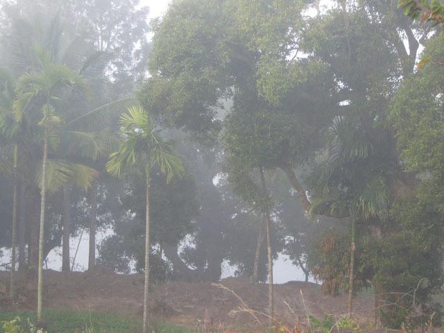 Waterfront Homestay photo 46