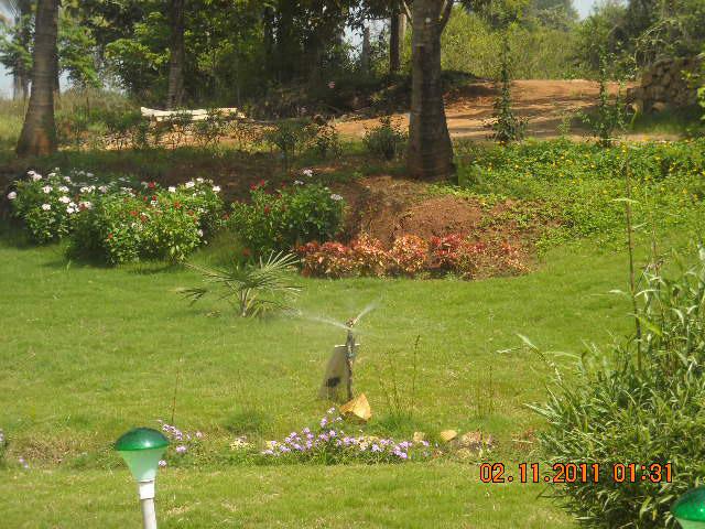 Waterfront Homestay photo 47