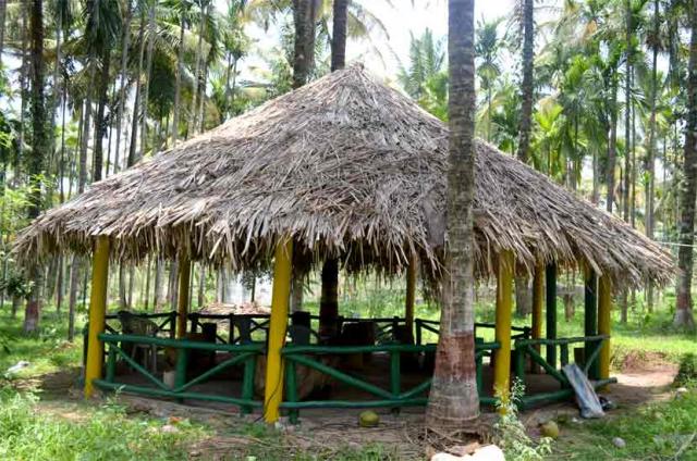 Waterfront Homestay photo 77