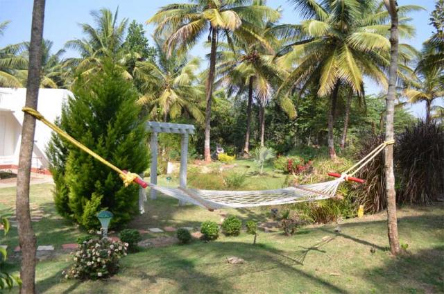 Waterfront Homestay photo 83