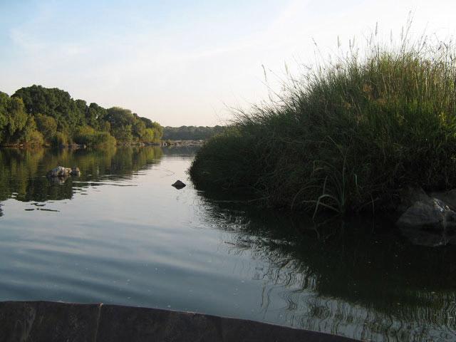 Waterfront Homestay photo 89