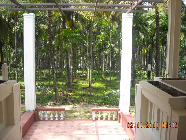 Waterfront Homestay photo 91
