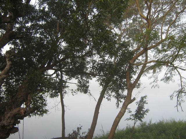 Waterfront Homestay photo 93