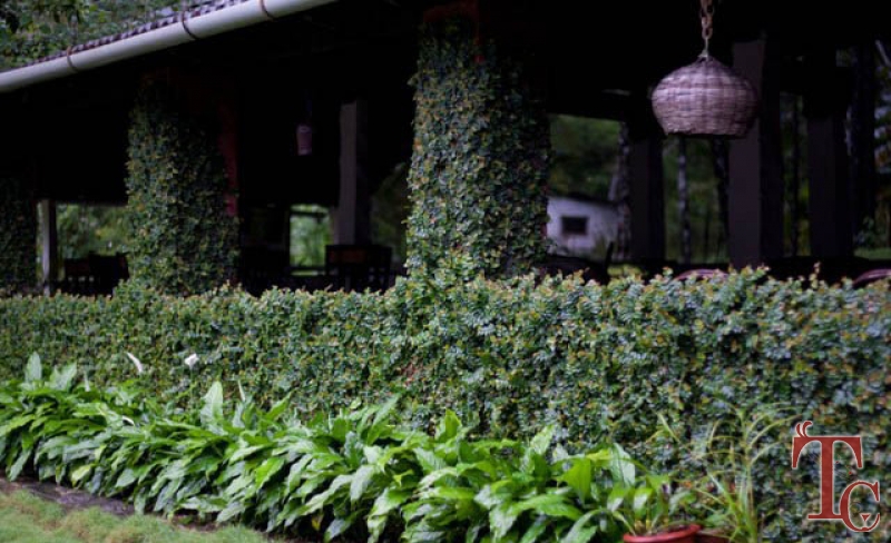 Kolavara Heritage Homestay photo 33