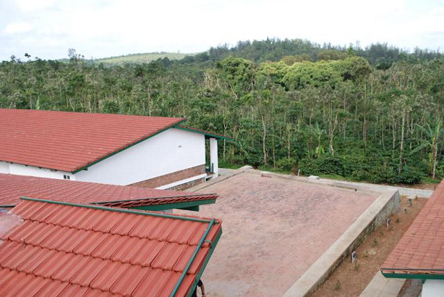 Eka Resort photo 5
