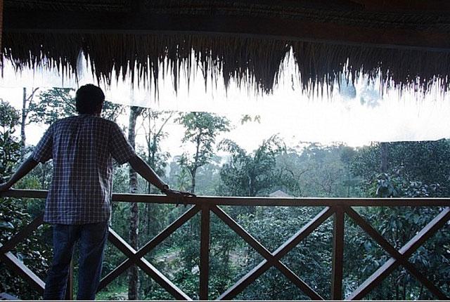 The Hills Homestay photo 2