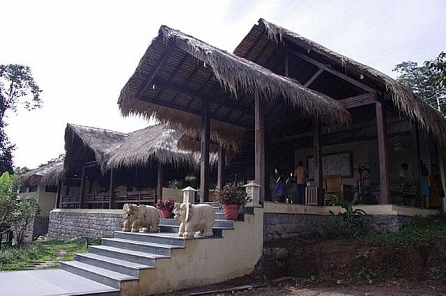 The Hills Homestay photo 13
