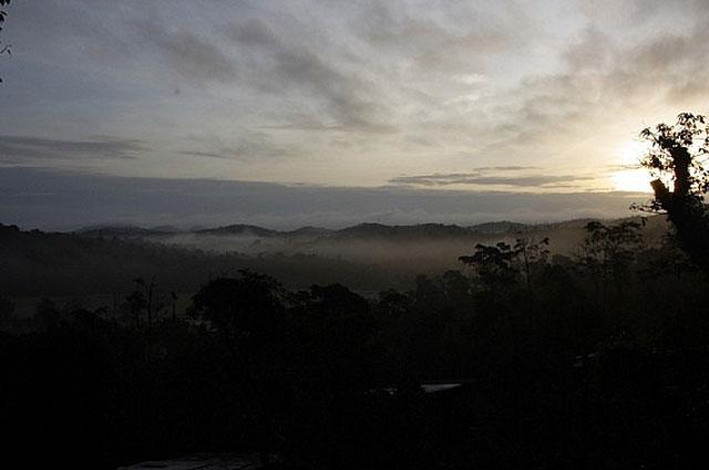 The Hills Homestay photo 21
