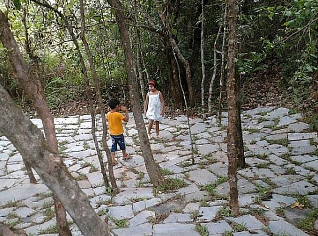 The Hills Homestay photo 23