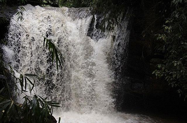 The Hills Homestay photo 26