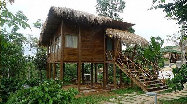 The Hills Homestay photo 29